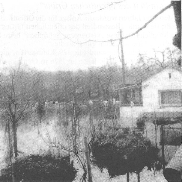 Das Hochwasser in Neuss 1969 - hier beim Kleingärtnerverein Altstadt.